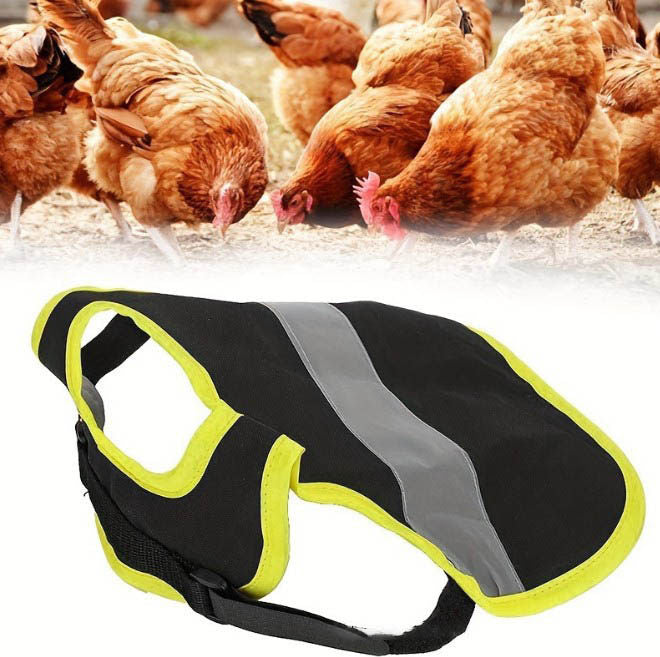 Chicken Clothes Pet Reflective Vest Chicken Apron Chicken Clothes Pet Reflective Vest Chicken Apron