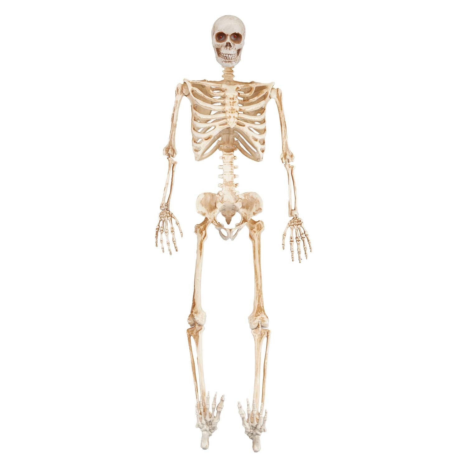 Halloween Skeleton Decoration with LED Eyes Trick or Treat Party 36 Inch White