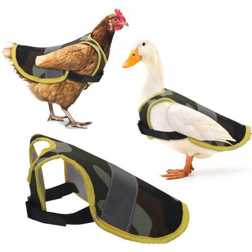 Chicken Clothes Pet Reflective Vest Chicken Apron Chicken Clothes Pet Reflective Vest Chicken Apron